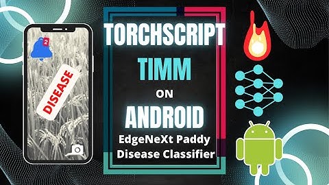 PyTorch at the Edge: Deploying Over 964 TIMM Models on Android with TorchScript and Flutter
