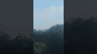 yellow 🟡 helicopter 🚁 flying past Heaton park 🏞️
