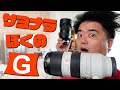 栄光のソニーG MASTER 望遠レンズだ！SONY FE 70-200mm F2.8 GM OSS SEL70200GM ナナニッパと純正2XテレコンバーターSEL20TC で撮影した写真だよ