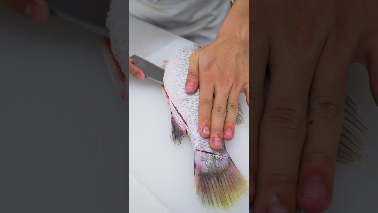Phi Lê Sashimi Cá Chẽm Phần 1 - Xem Full Clip Tại Comment Nha Cả Nhà! - youtube