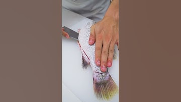 Phi Lê Sashimi Cá Chẽm Phần 1 - Xem Full Clip Tại Comment Nha Cả Nhà!