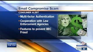 Celebrity Consumer Alert: This email scam has cost companies millions Profile