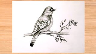 Bird drawing easy | how to draw bird step by step easy drawing