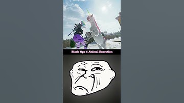 Black Ops 6 Unicorn Fart Execution 😂 vs MW Hellhound Execution 💀 | Hilarious Call of Duty Shorts