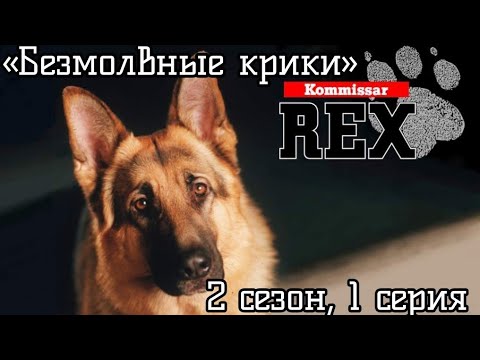 Комиссар Рекс, 2 сезон, 1 серия «Безмолвные крики», 1995 год