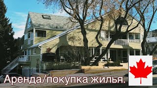 Поиск жилья в Калгари в 2024. Ответы риэлтора. Аренда или покупка