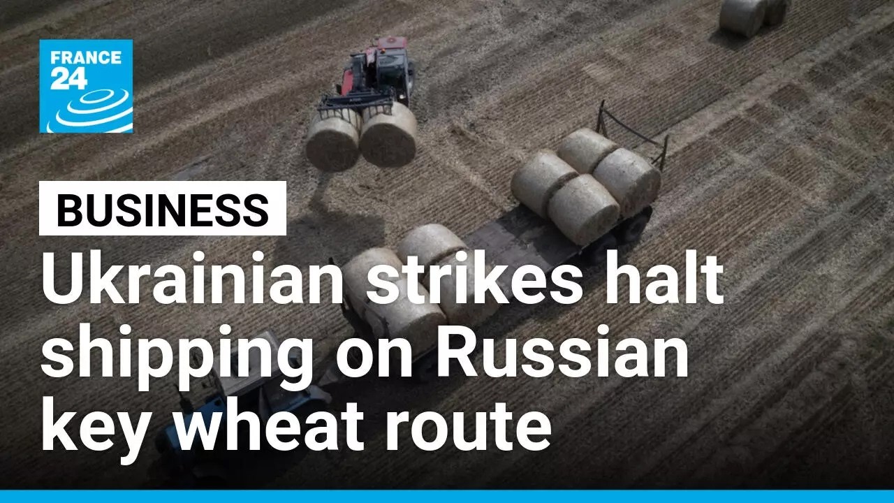 Ukraine strikes halt shipping on key wheat route as Russian fuel crisis deepens • FRANCE 24 English