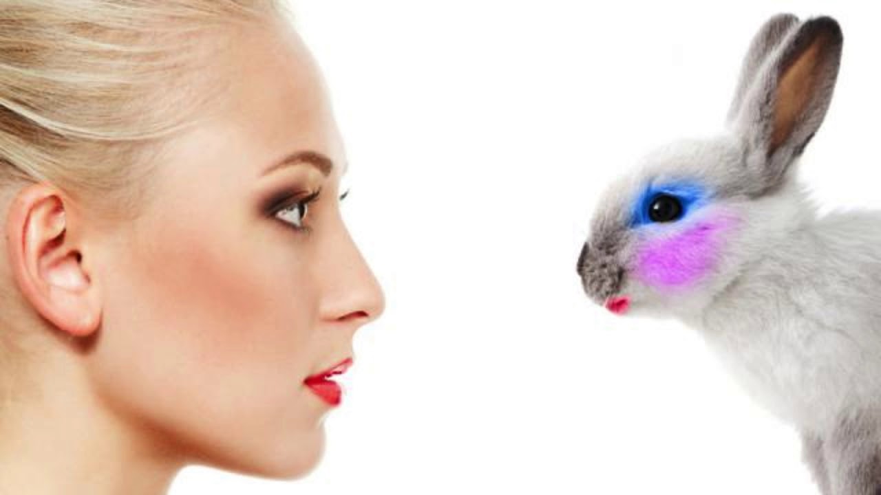 Cosmetic Testing on Animals