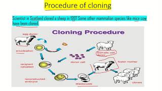Cloning And Its Importance ..Lecture 17 Chapter 1 Recommended For You.