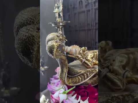 350 പവൻ സ്വർണം,75000 വജ്രക്കല്ലുകൾ :അനന്തപുരിയിൽ ശ്രീപത്മനാഭന്റെ തങ്ക വിഗ്രഹമൊരുക്കി ഭീമ ജ്വല്ലറി