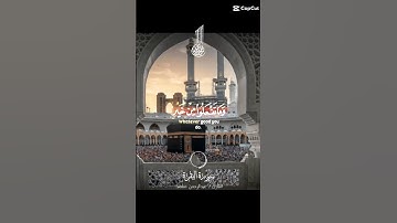الحج أشهر معلومات #استغفر_الله #quran{سورة البقرة} {القارئ عبد الرحمن مسعد} #القرآن_الكريم