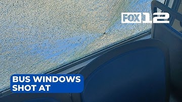 Windows shot in TriMet buses cause service delays, terrified riders