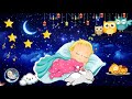 1 นาทีหลับปุ๋ย ♫♫ เพลงเสริมพัฒนาการสมองและความจำ ♫ สมอง ทารก การนอนหลับลึก