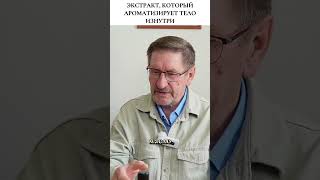 Натуральный парфюм от самой природы #фитотерапия  #травы  #здоровье