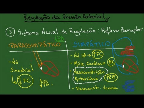 Vídeo: Identificando Os Componentes Ativos Da Decocção De Baihe – Zhimu Que Melhoram A Doença Depressiva Por Uma Estratégia Integrada Eficaz: Um Estudo De Farmacocinética Sistêmica Combin