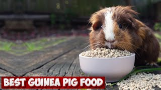 A Comprehensive Guide to the Best Guinea Pig Food for Optimal Health and Happiness by Pet Needs 69 views 4 weeks ago 12 minutes, 20 seconds