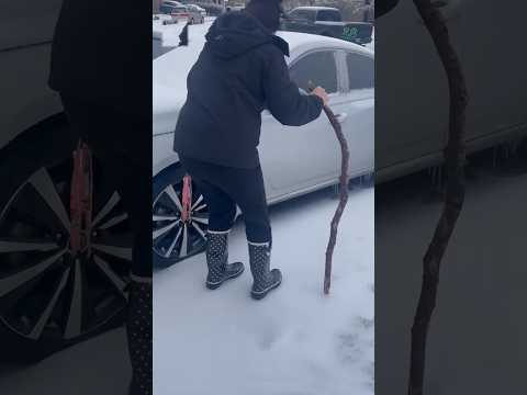 You Challenge Nature And Instantly Regret It Shorts