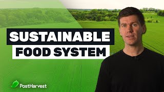 4 Ways to Build a More Sustainable Food System