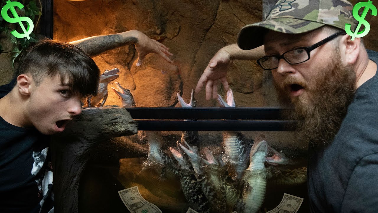 vlogs in spanish BOBBING FOR DOLLARS in a GATOR INFESTED TANK!! | BRIAN BARCZYK