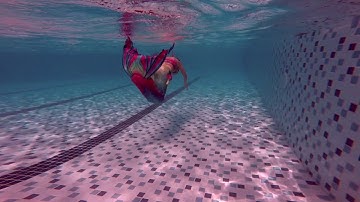 Tiên cá Mimi - Mermaid Mimi