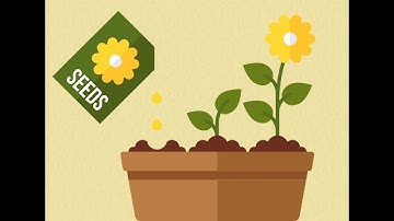 How to Read A Seed Packet