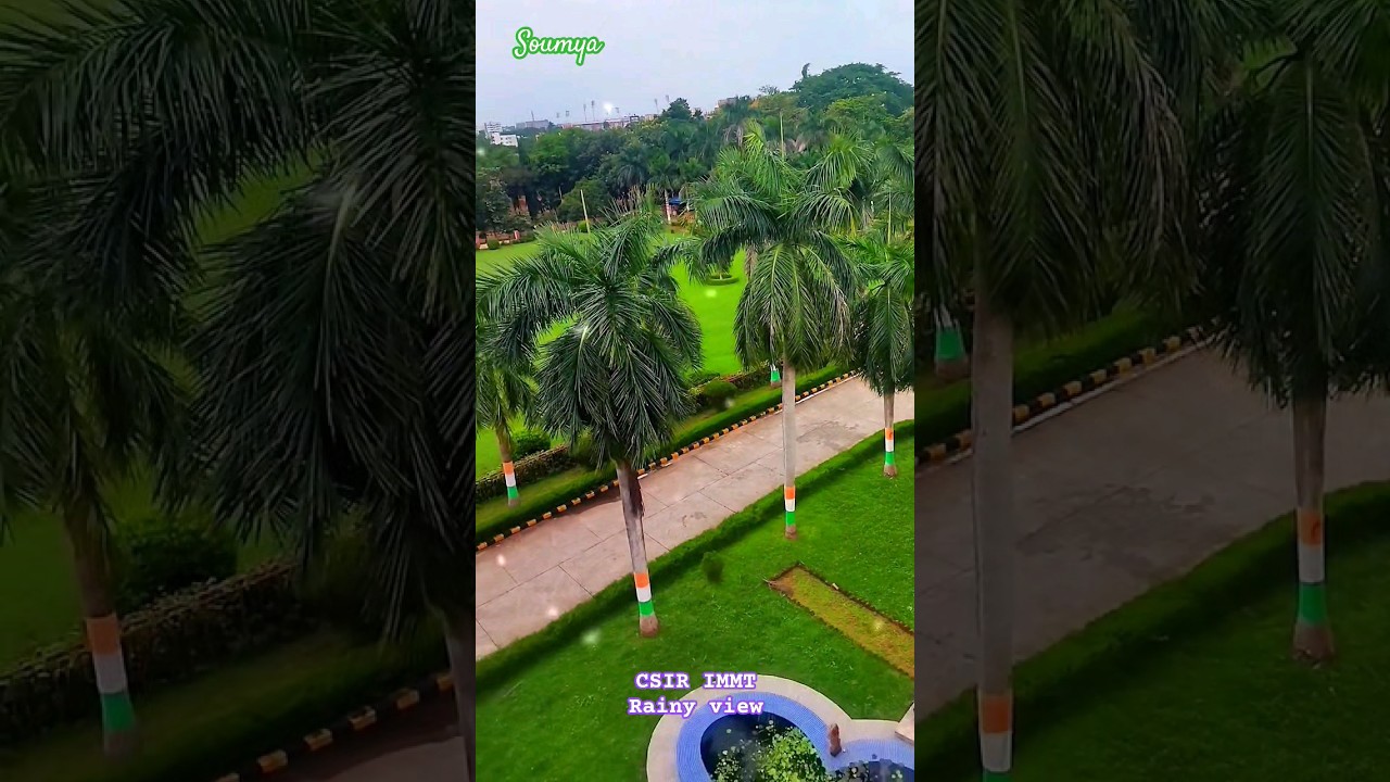 Rainy day vibe 🌧☁️  CSIR IMMT 