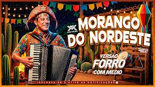 Karametade - Morango do Nordeste - VERSÃO FORRÓ COM MÉDIO ( KarnyX no Beat )