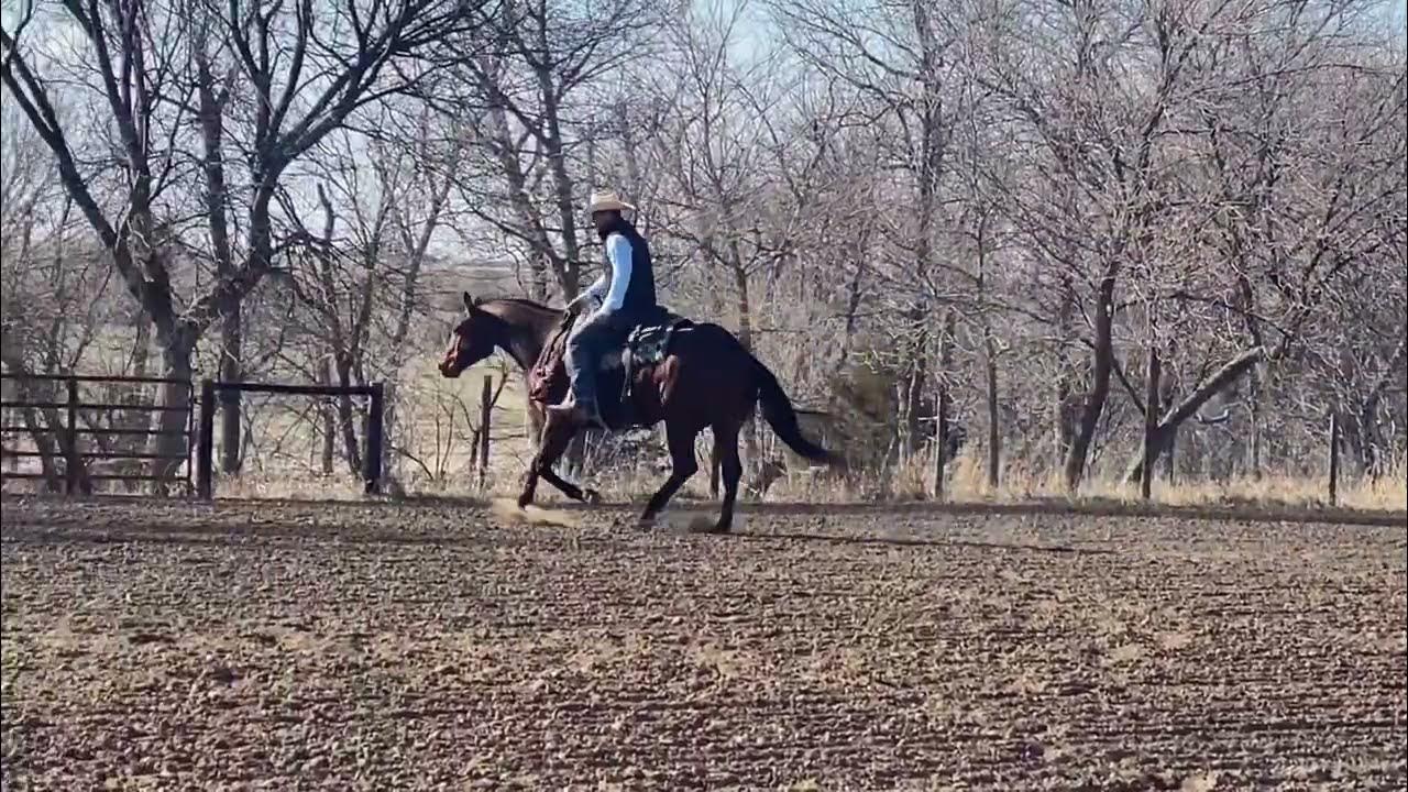 Reno Lot 159 Pitzer Ranch Spring Sale YouTube