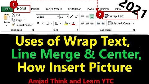 How to Use Wrap Text and Merge Cell in MS Excel 2021 || Insert Picture in Excel || Text Formatting