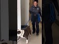Bruce video