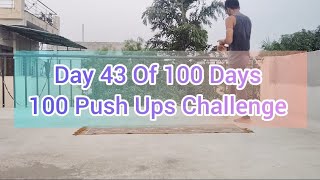 Day 43 Of 100 Days 100 Push - Ups Challenge 💪 Consistency Never Missed Daily 100 Push - Ups