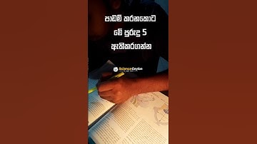 Boost Your Study Sessions: 5 Healthy Tips for Maximum Productivity - පාඩම් කරන අය මේ 5 අනුගමනය කරන්න