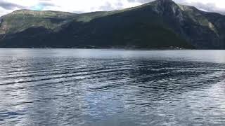Ferry in the Sognefjord in Norway by Bingo Bingo 70 views 3 years ago 21 seconds