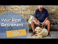 How to Choose the Best Dog for Retirement