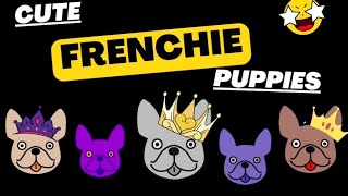 #Cute #Viral #Frenchie #Puppies #Shorts #Puppysale #contest #raffle 🐶 🥰 😇🤩❤️😍 by Cute Frenchie Puppies  81 views 7 months ago 1 minute, 1 second