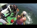 Sbms islands wipeout reel