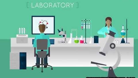 Create a high quality infographic animation - Best Whiteboard & Animated Explainers service