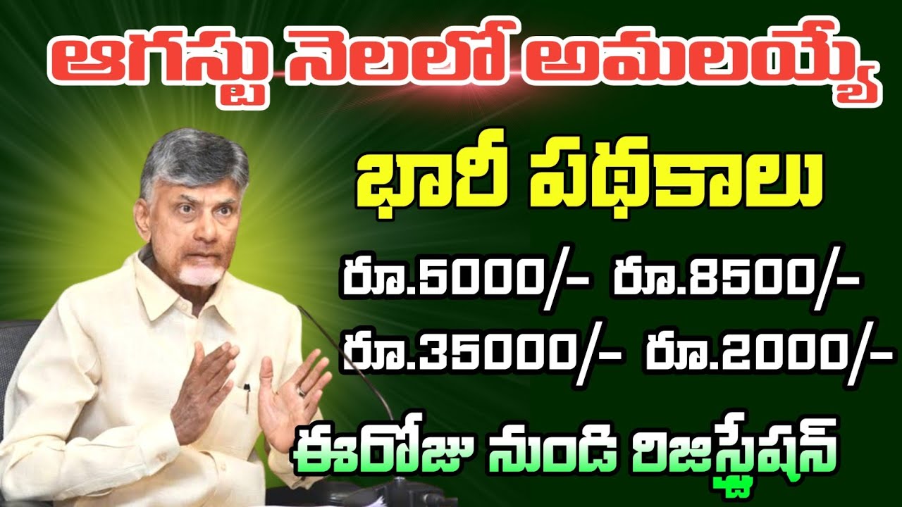 ఆగస్టు నెలలో అమలయ్యే కొత్త పథకాలు ఇవే|| ap upcoming August schemes 2024 ...