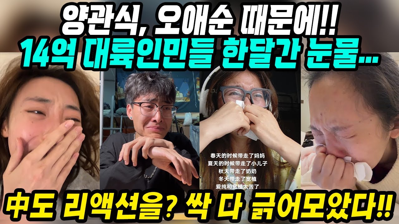 중국반응│중국도 리액션? 넷플릭스 폭싹속았수다│양관식 오애순 때문에 14억 대륙인민들 한달간 눈물│그들이 폭싹 속았수다 눈물바다에 빠진 이유│중국어로[路]