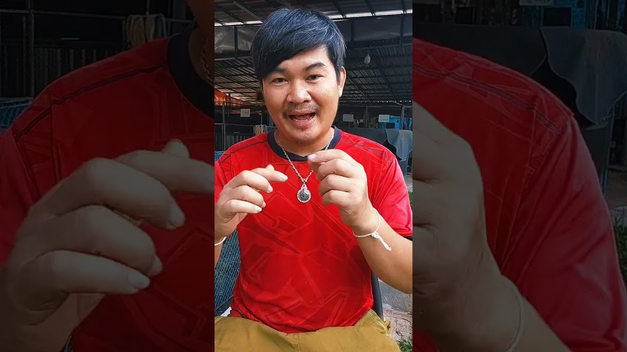 Ep17.มือใหม่นักพัฒาสายพันธุ์พม่า #บิ๊กแคนฟาร์ม