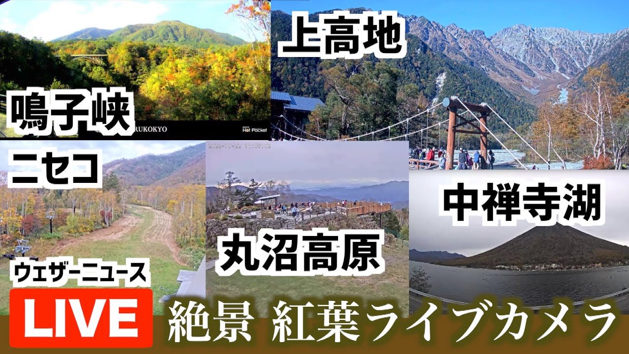 公の場での発言・インタビュー報道記録