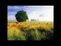 大自然音樂 Nature music--擁抱大自然 Embrace of nature