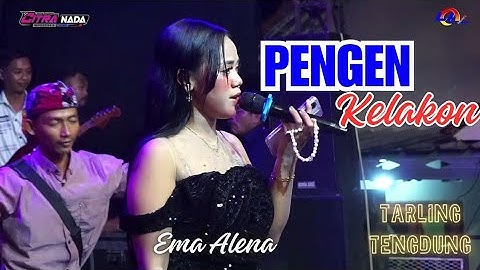PENGEN KELAKON ~ TENGDUNG // CITRA NADA LIVE DUKUH ANJUN KALER - MALAHAYU // BANJARHARJO - BREBES