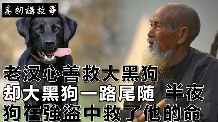 民間故事：男人心善救大黑狗，卻大黑狗一路尾隨，半夜狗在強盜中救了他的命｜高朗講故事 - 天天要聞