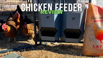 Upgrading our Chicken Feeder | Run-Chicken Feeder Review