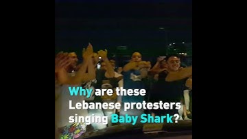 An unexpected moment during a protest in Beirut, Lebanon.