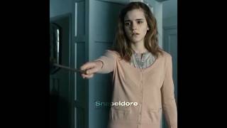 Nothing Breaks Like A Heart Harry Potter Edit