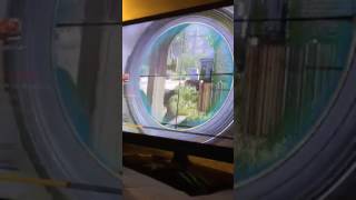 MWR no gun glitch