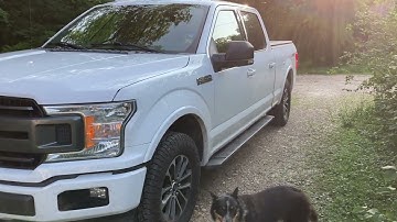 Windshield Wiper Will Not Shut Off 2018 Ford F150. How to Replace Windshield Wiper Multi Function