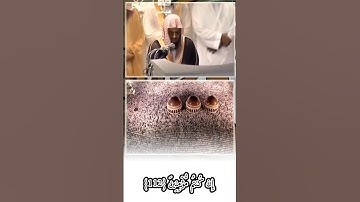 الجزء الأخير من صلاة التهجد ليلة 27 رمضان عام 1433ه‍/2012م بتلاوة شجية للشيخ سعود الشريم 🤍🌹